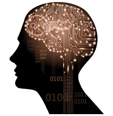 system_administrator